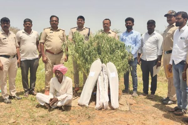 ಯಾದಗಿರಿಯಲ್ಲಿ ಅಬಕಾರಿ ದಾಳಿ – 4.9 ಕೆಜಿ ಗಾಂಜಾ ಹಾಗೂ 30 ಗಿಡಗಳ ಜಪ್ತಿ