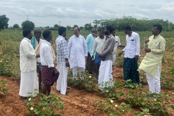 ಮಳೆ ಕೈಕೊಟ್ಟ ಬೆನ್ನಲ್ಲೇ ರೈತರ ಹೊಲಗಳಿಗೆ ರಾಚನಗೌಡ ಮುದ್ನಾಳ ಭೇಟಿ; ಸಮಸ್ಯೆಗಳ ಪರಿಶೀಲನೆ