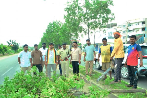 ಯಾದಗಿರಿಯಲ್ಲಿ ವಿಷಕಾರಿ ದುಬೈ ಮರಗಳ ತೆರವು ಆರಂಭ: ಜಯ ಕರ್ನಾಟಕ ಮನವಿಗೆ ಅರಣ್ಯ ಇಲಾಖೆ ಸ್ಪಂದನೆ